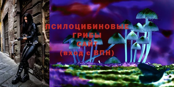 трава Костерёво