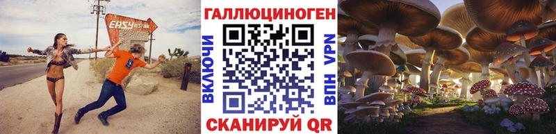 Галлюциногенные грибы прущие грибы  Курчатов 